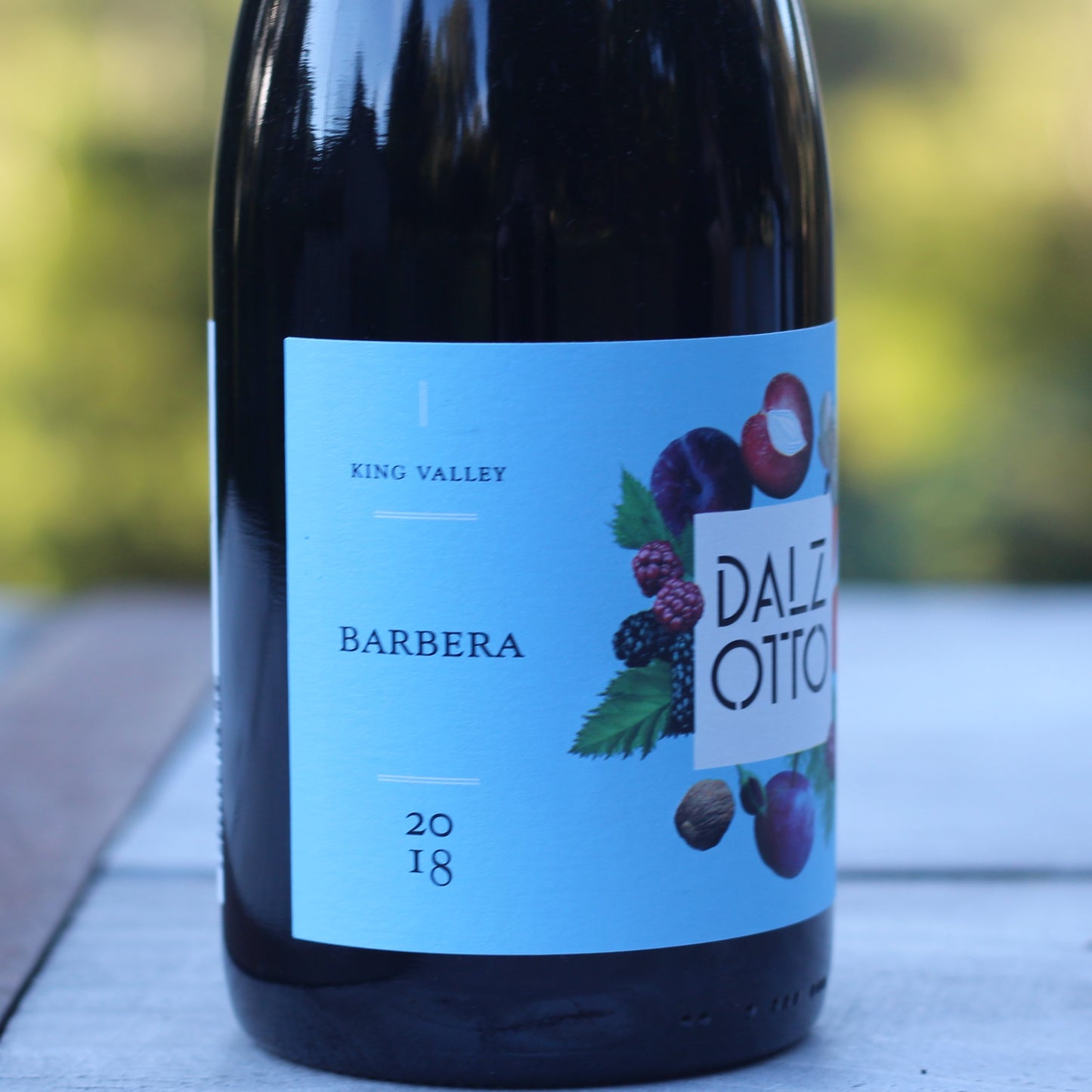 Dal Zotto - Barbera 2021