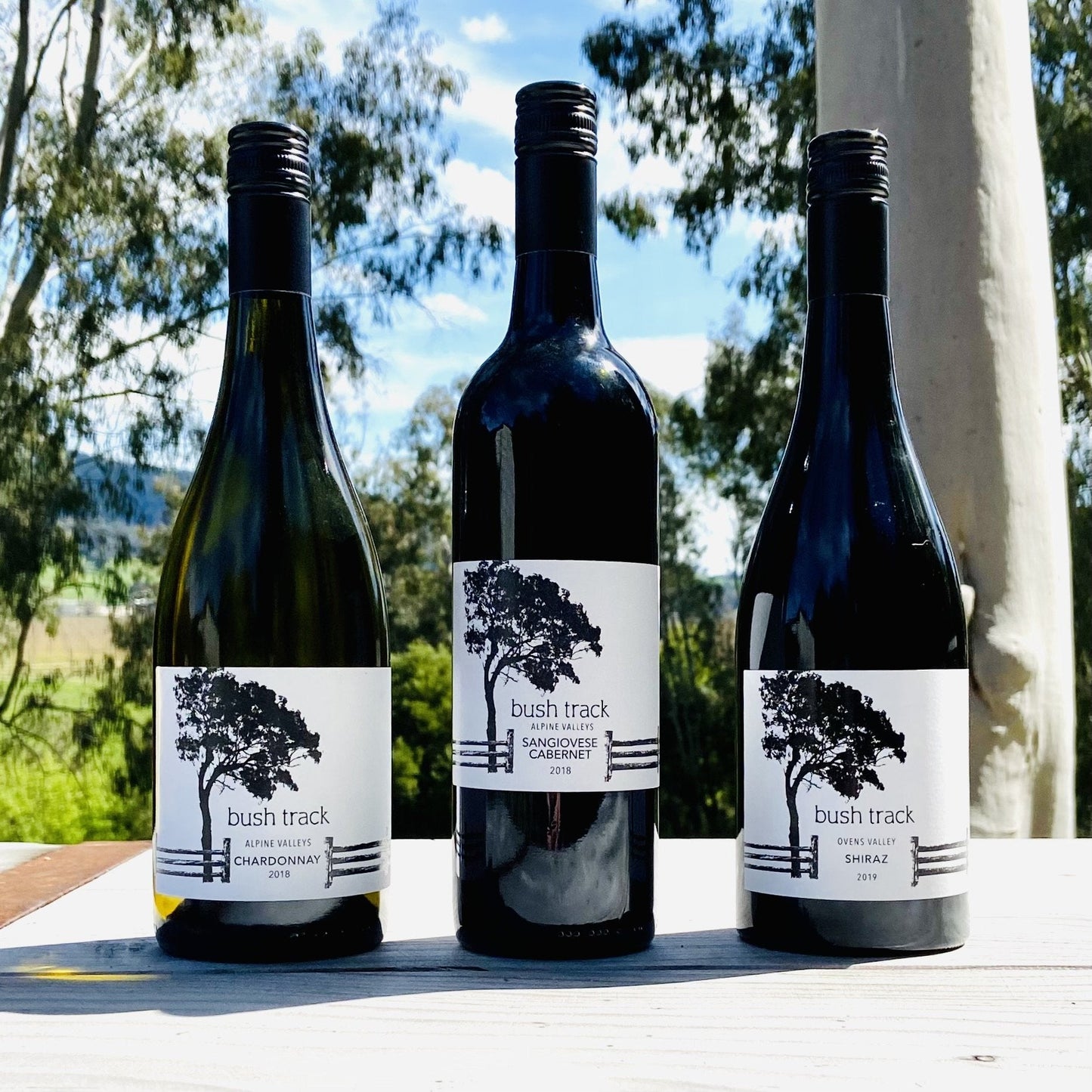 Bush Track - Shiraz 2021